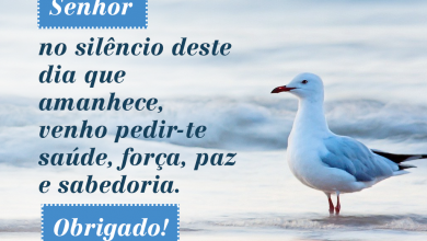 Frase Do Dia