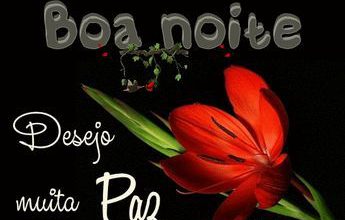 Frase Do Dia Boa Noite Para Facebook