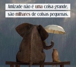 Frases Amizade