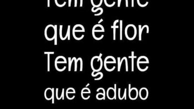 Frases Amizade E Tudo