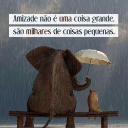 Frases Amizade