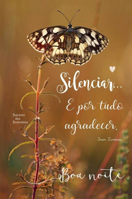Frases Bem Bonita De Boa Noite Para Facebook