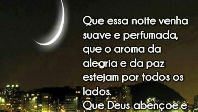 Frases Boa Noite