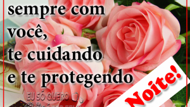 Frases Boa Noite Carinho Para Whatsapp