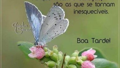 Frases Boa Tarde Para Namorada