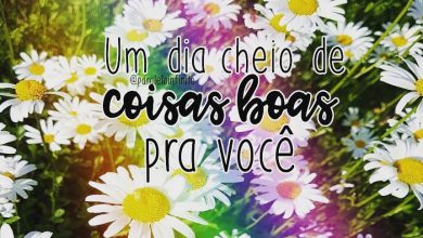 Frases Bom Dia Amiga Especial Para Facebook