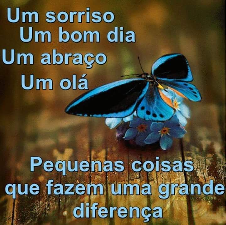 Frases Bom Dia Amiga Especial Para Whatsapp