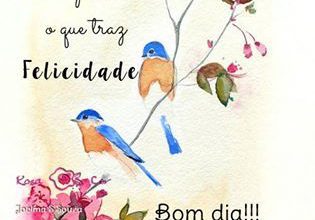 Frases Bom Dia Especial