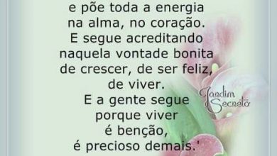 Frases Bom Dia Para Amigos Para Whatsapp