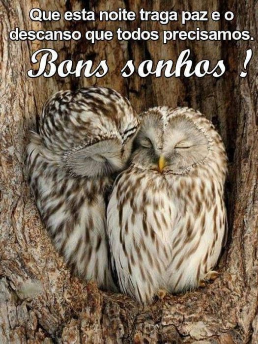 Frases Bonitas Da Noite Para Facebook