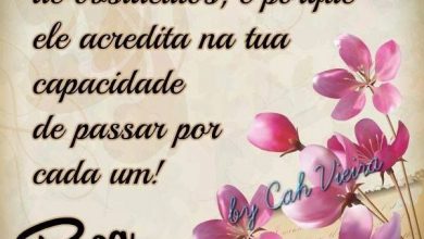 Frases Bonitas De Boa Tarde Para Facebook