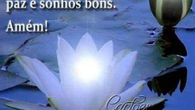 Frases Bonitas Para Boa Noite Para Whatsapp