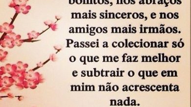 Frases Com Amizade Para Facebook