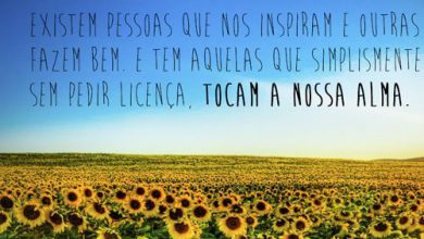 Frases Curtas Amizade Para Facebook