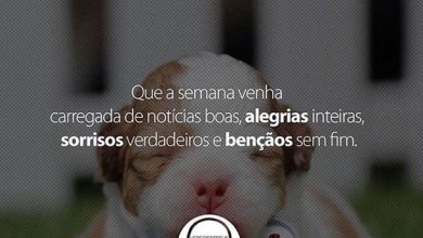 Frases Curtas Boa Semana