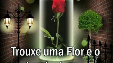 Frases D Noite Para Facebook