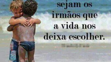 Frases De Amizade Amigo