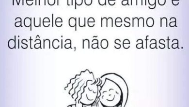 Frases De Amizade Com Amor Para Whatsapp