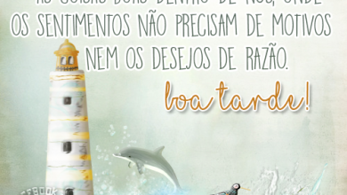 Frases De Amizade De Boa Tarde