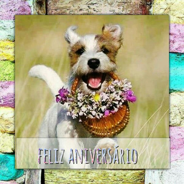 Frases De Aniversário Para