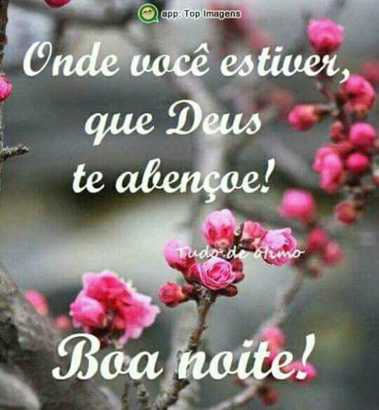 Frases De Boa Noite Para Todos Para Facebook