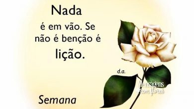 Frases De Boa Semana Para Todos