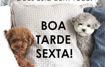 Frases De Boa Tarde Com Imagens