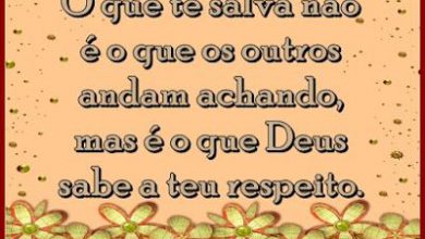 Frases De Boa Tarde Legal