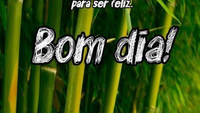 Frases De Bom