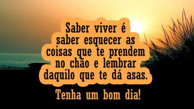 Frases De Bom Dia Bonita Para Whatsapp