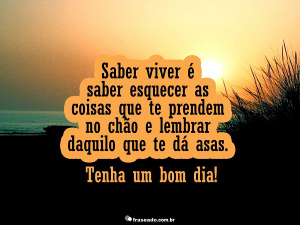 Frases De Bom Dia Bonita Para Whatsapp