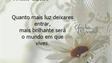 Frases De Bom Dia Feliz Para Whatsapp