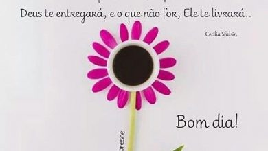 Frases De Bom Dia Lindas Para Amigos Para Facebook