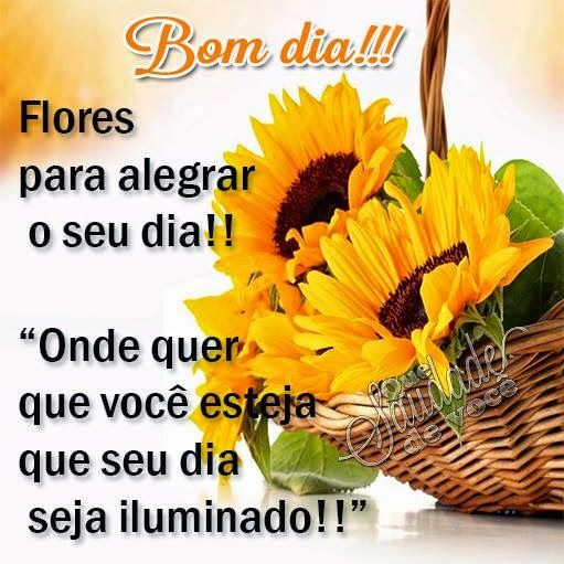 Frases De Bom Dia Maravilhoso Para Whatsapp