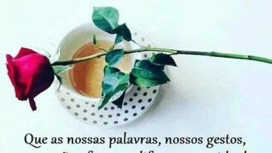 Frases De Bom Dia Para Para Whatsapp