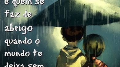 Frases De Carinho Para Amiga Para Facebook