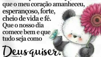 Frases De Um Bom Dia Para Whatsapp