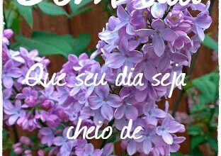 Frases De Um Lindo Dia Para Whatsapp