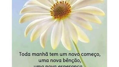 Frases De Um Otimo Dia Para Facebook