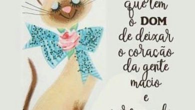 Frases De Uma Linda Amizade Para Whatsapp