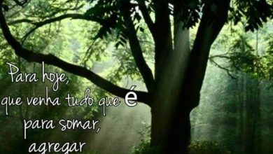 Frases Dia Para Facebook