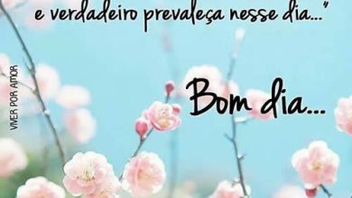 Frases Do Dia A Dia