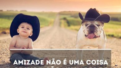 Frases E Amizade Para Facebook