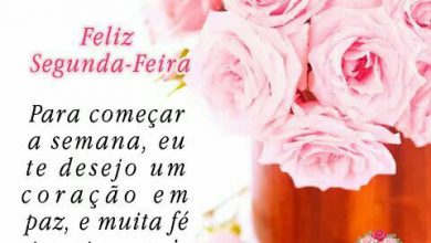 Frases Engraçadas Para Começo De Semana