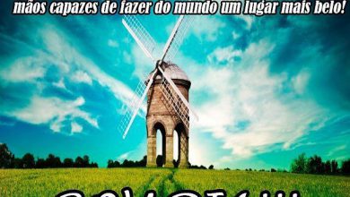 Frases Fortes De Bom Dia Para Facebook