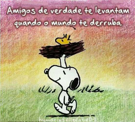 Frases Impactantes Sobre Amizade Para Whatsapp