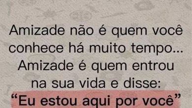 Frases Interessantes De Amizade Para Whatsapp