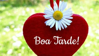 Frases Legais De Boa Tarde Para Facebook