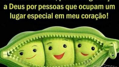 Frases Lindas Amizade Para Facebook