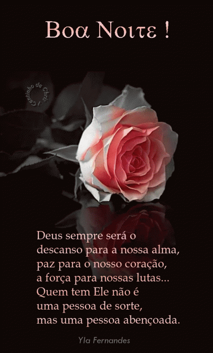 Frases Lindas Boa Noite Para Whatsapp